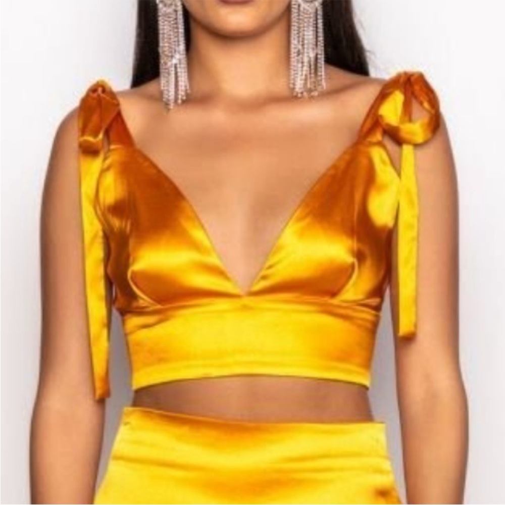 Akira Plunge Crop Top with Tie Straps (S)